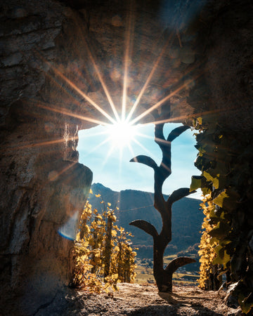Unlock Your Inner Radiance: The Power of Copper & Crystal Energy for Confidence