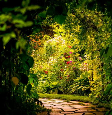 Unlock Your Inner Garden: Cultivating Growth, Wisdom, and Abundance with Green Crystals