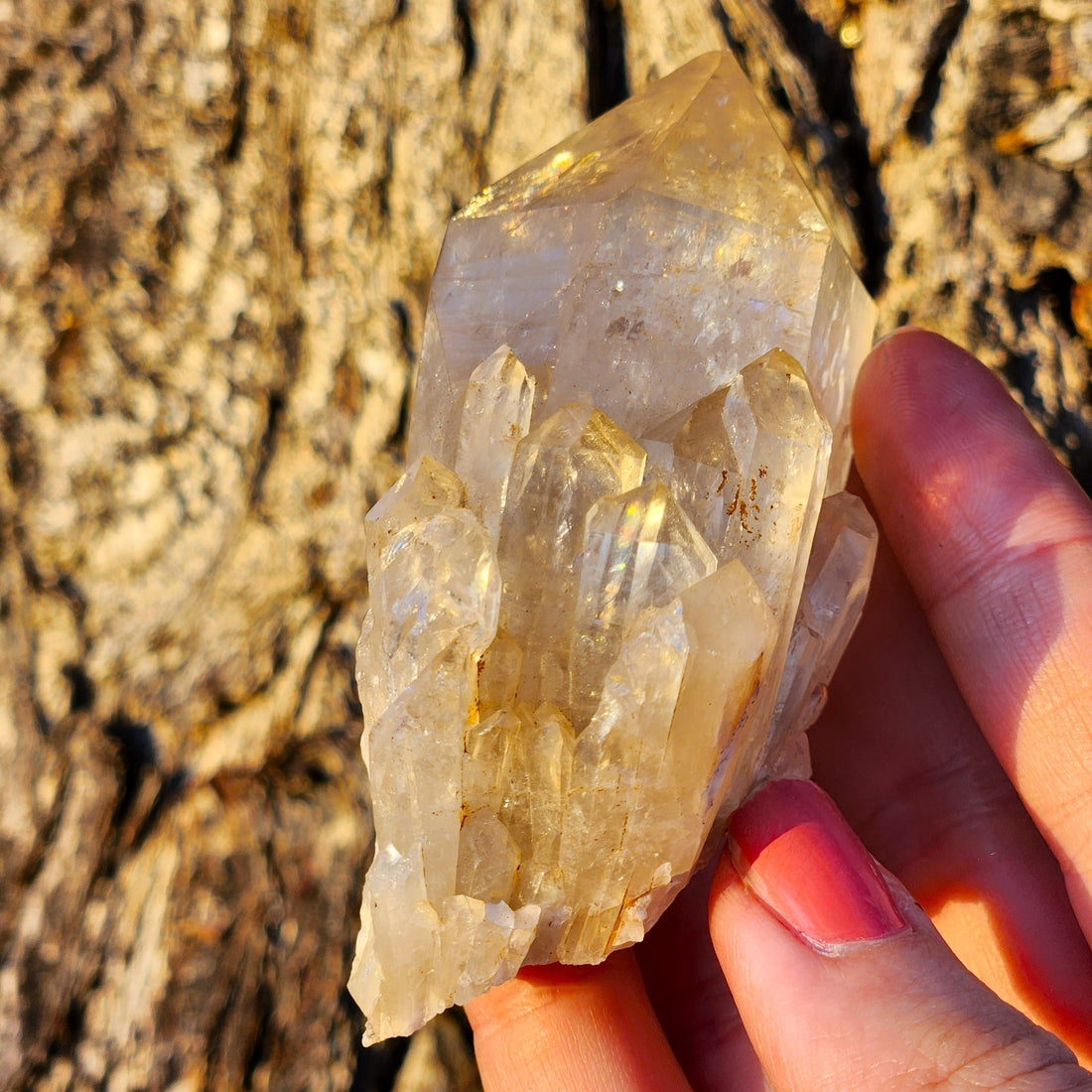 Tucson Find Kundalini Citrine
