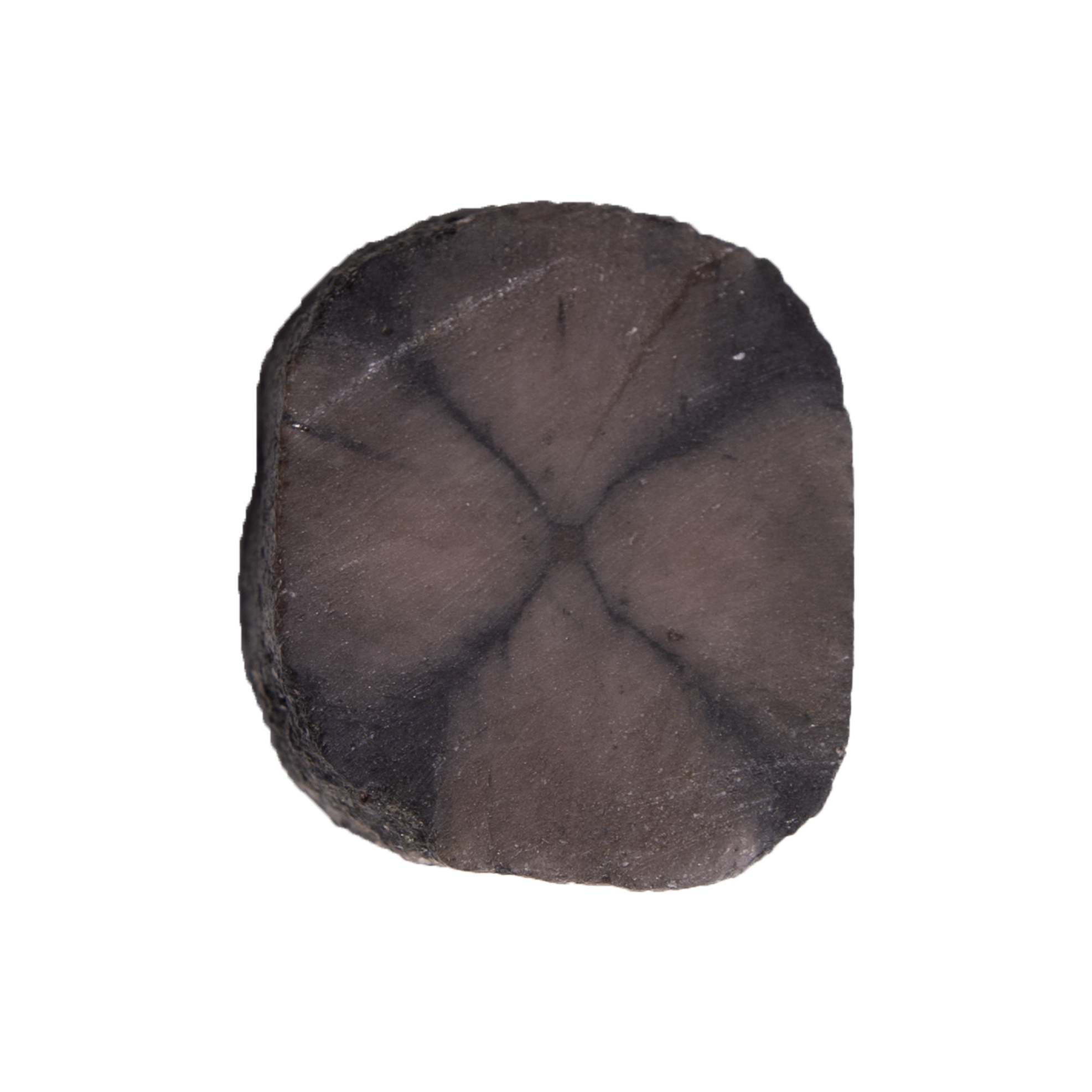 Chiastolite Slice