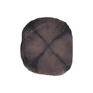 Chiastolite Slice