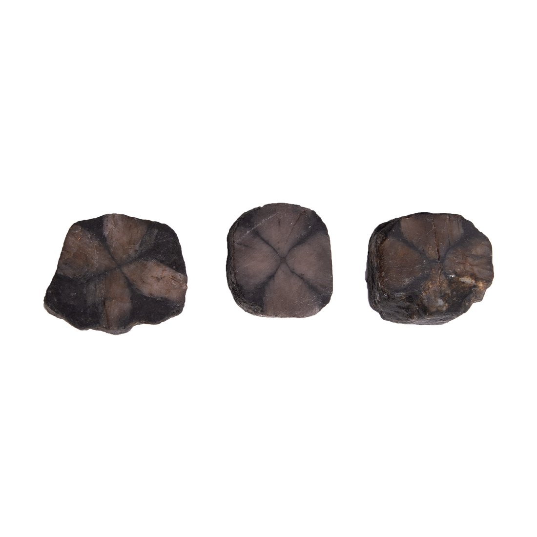 Chiastolite Slice