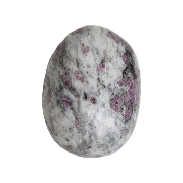 Garnet in Astrophyllite Touchstone