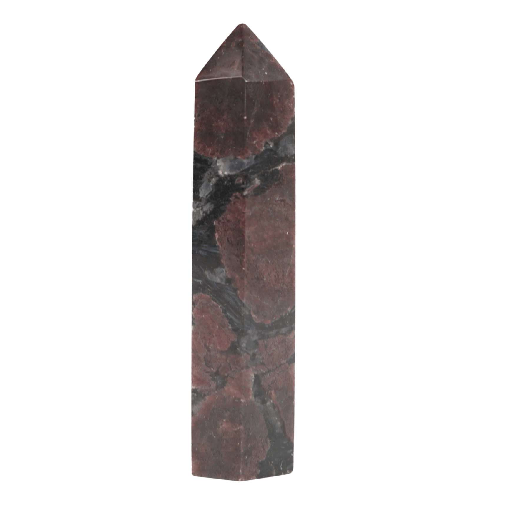 Garnet in Biotite Point