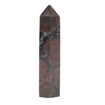 Garnet in Biotite Point