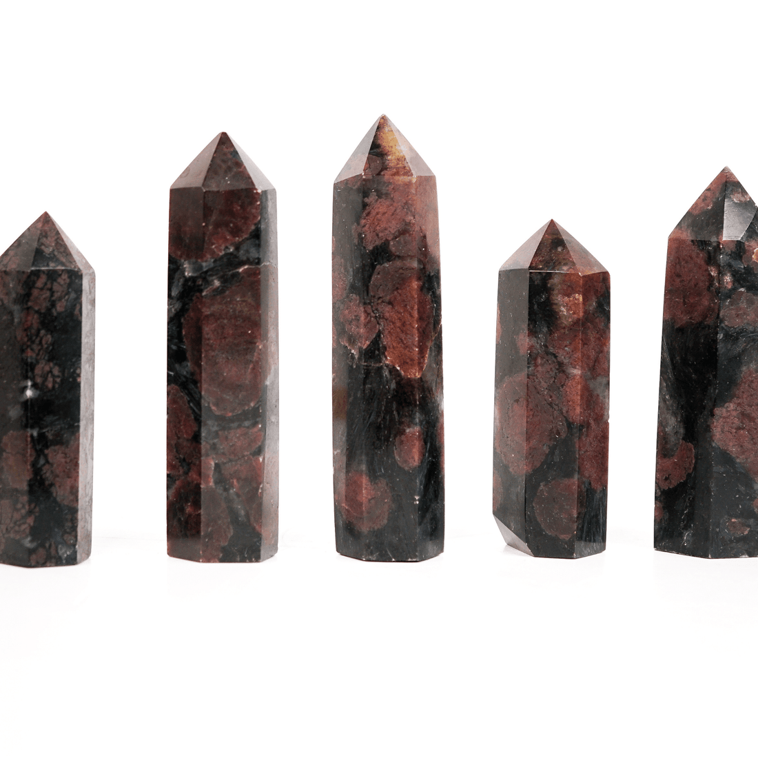 Garnet in Biotite Point
